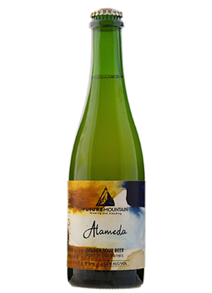 Future Mountain Alameda