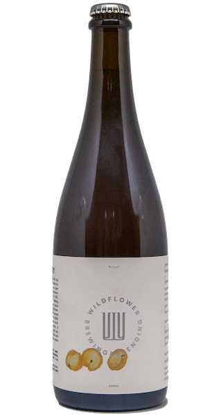Wildflower St Henry Apricot 2024