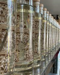 Ambrosia Gin DNO