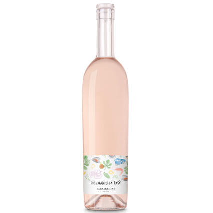 Susumaniello Rose