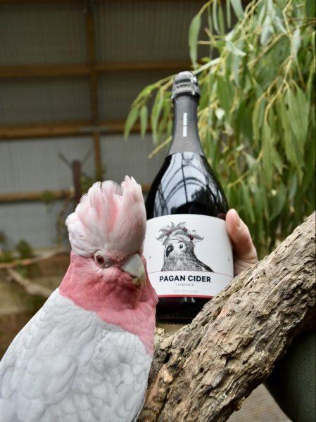 Pagan Sparkling Cherry 750ml