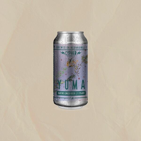 Cypher Brewing Yuma Native Ginger Beer